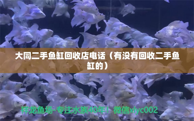 大同二手鱼缸回收店电话（有没有回收二手鱼缸的） 红魔王银版鱼