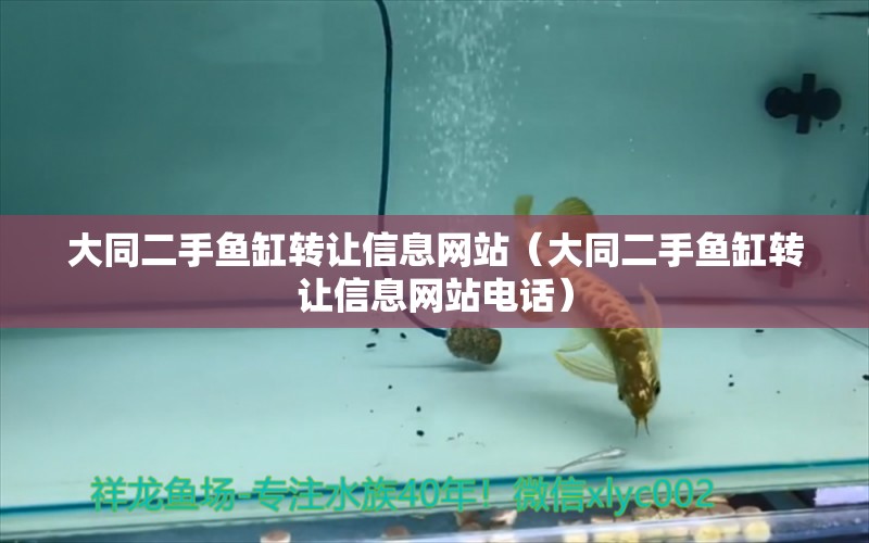 大同二手鱼缸转让信息网站（大同二手鱼缸转让信息网站电话）