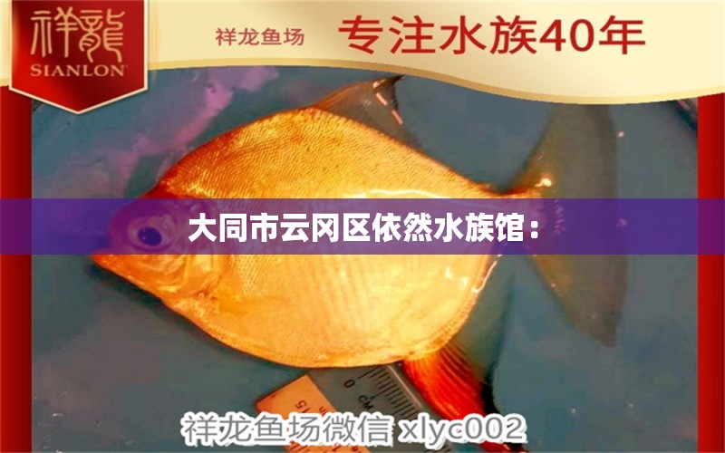 大同市云冈区依然水族馆： 全国水族馆企业名录