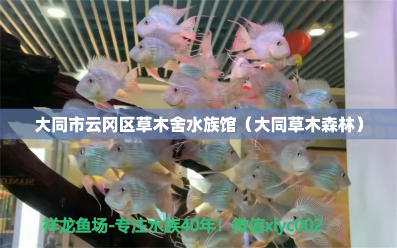 大同市云冈区草木舍水族馆（大同草木森林） 全国水族馆企业名录