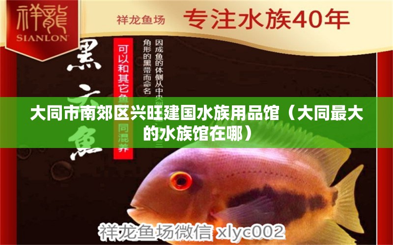 大同市南郊区兴旺建国水族用品馆（大同最大的水族馆在哪） 水族用品