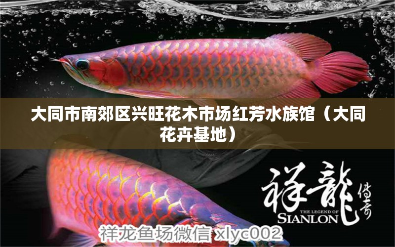 大同市南郊区兴旺花木市场红芳水族馆（大同花卉基地）