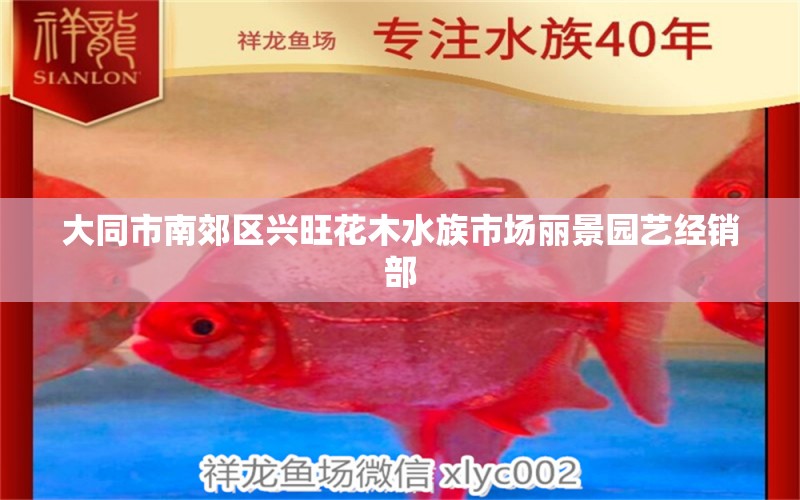 大同市南郊区兴旺花木水族市场丽景园艺经销部 全国水族馆企业名录