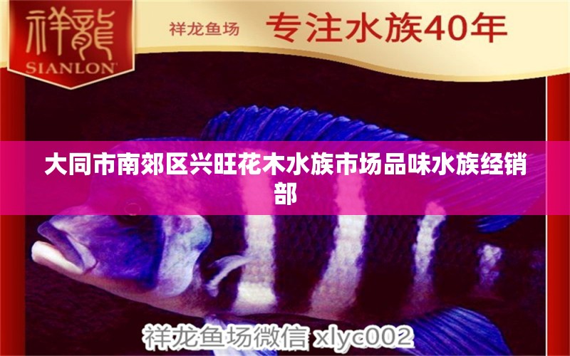 大同市南郊区兴旺花木水族市场品味水族经销部