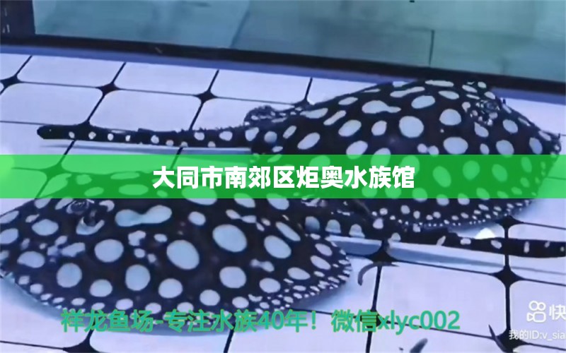 大同市南郊区炬奥水族馆