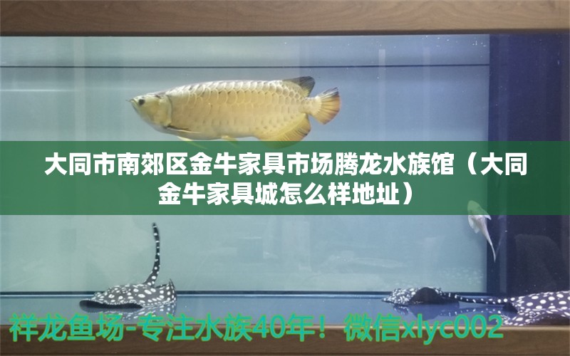 大同市南郊区金牛家具市场腾龙水族馆（大同金牛家具城怎么样地址）