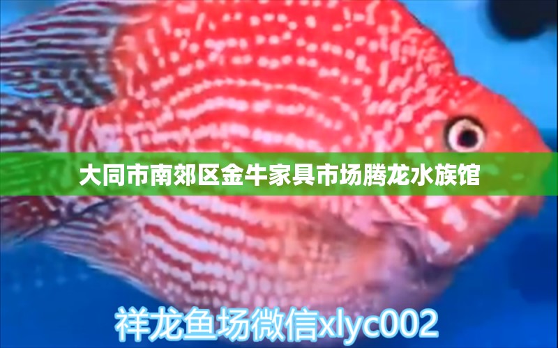 大同市南郊区金牛家具市场腾龙水族馆 全国水族馆企业名录