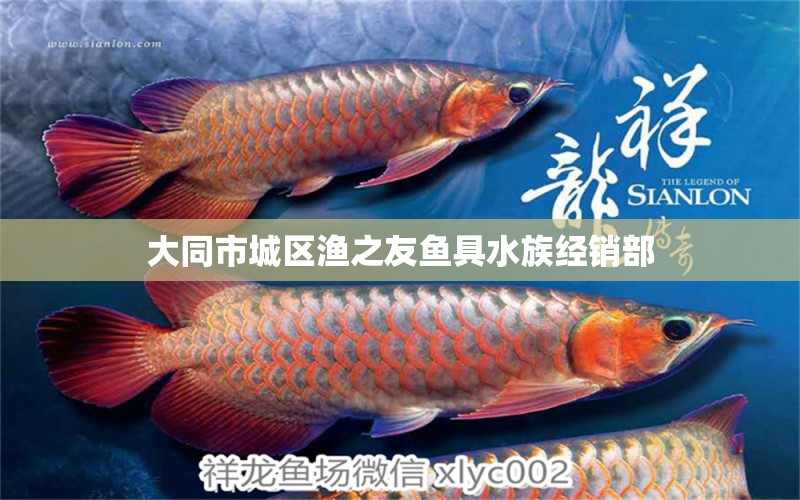 大同市城区渔之友鱼具水族经销部