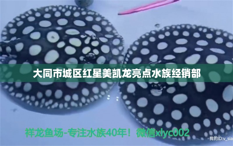 大同市城区红星美凯龙亮点水族经销部 全国水族馆企业名录