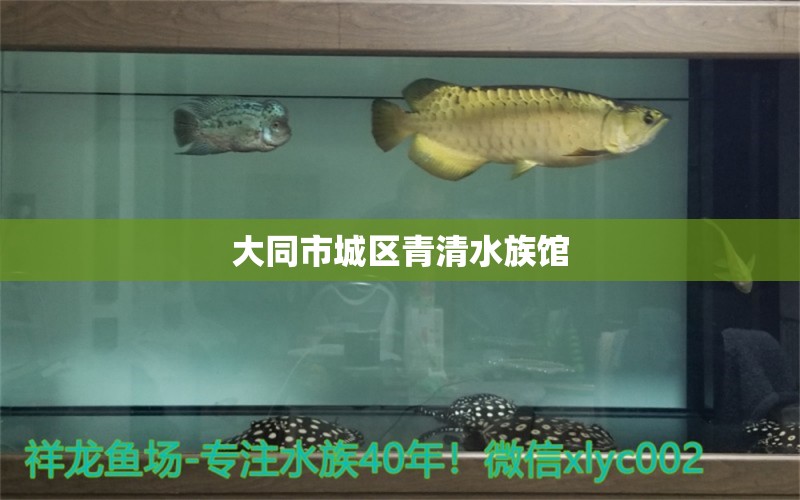 大同市城区青清水族馆