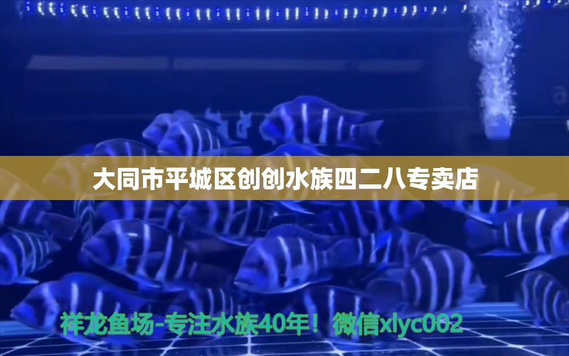 大同市平城区创创水族四二八专卖店 全国水族馆企业名录