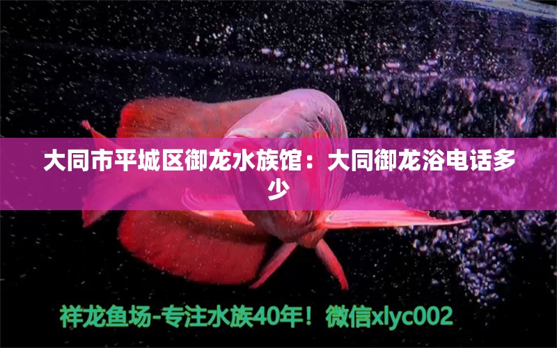 大同市平城区御龙水族馆：大同御龙浴电话多少