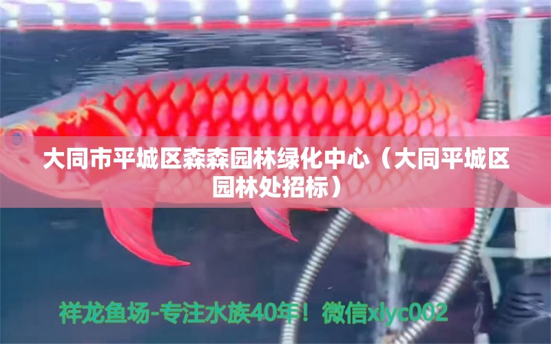 大同市平城区森森园林绿化中心（大同平城区园林处招标） 全国水族馆企业名录