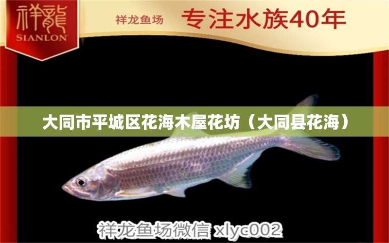 大同市平城区花海木屋花坊（大同县花海） 全国水族馆企业名录