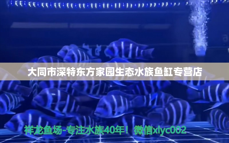 大同市深特东方家园生态水族鱼缸专营店