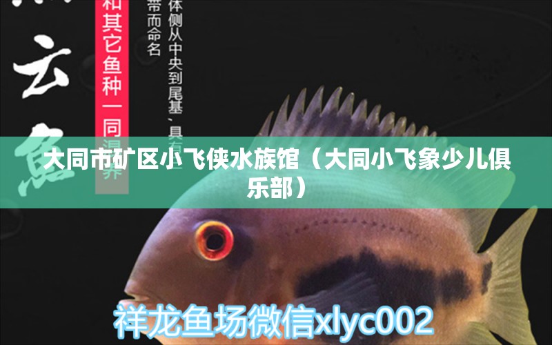 大同市矿区小飞侠水族馆（大同小飞象少儿俱乐部） 全国水族馆企业名录