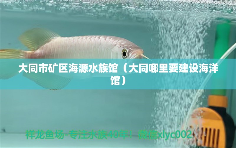 大同市矿区海源水族馆（大同哪里要建设海洋馆）