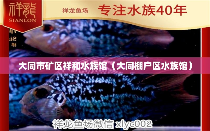 大同市矿区祥和水族馆（大同棚户区水族馆）