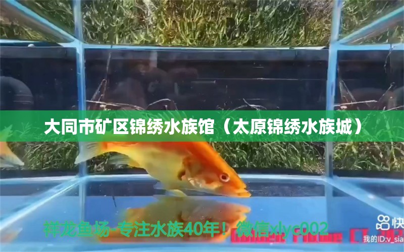 大同市矿区锦绣水族馆（太原锦绣水族城）