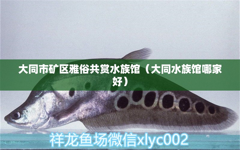 大同市矿区雅俗共赏水族馆（大同水族馆哪家好）