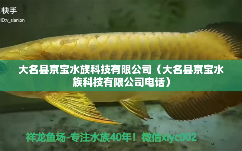 大名县京宝水族科技有限公司（大名县京宝水族科技有限公司电话）