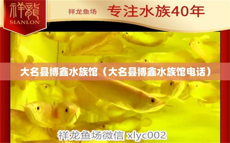 大名县博鑫水族馆（大名县博鑫水族馆电话） 全国水族馆企业名录