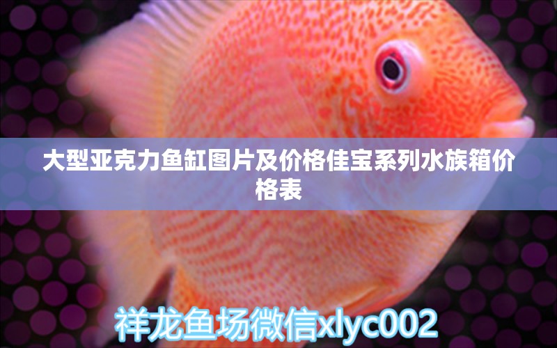 大型亚克力鱼缸图片及价格佳宝系列水族箱价格表 鱼缸/水族箱 第1张