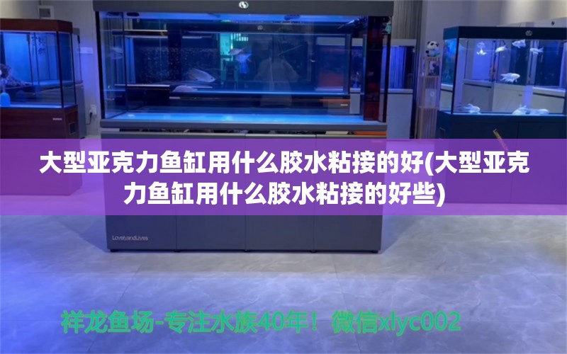 大型亚克力鱼缸用什么胶水粘接的好(大型亚克力鱼缸用什么胶水粘接的好些)