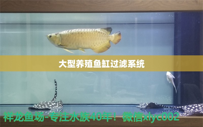 大型养殖鱼缸过滤系统