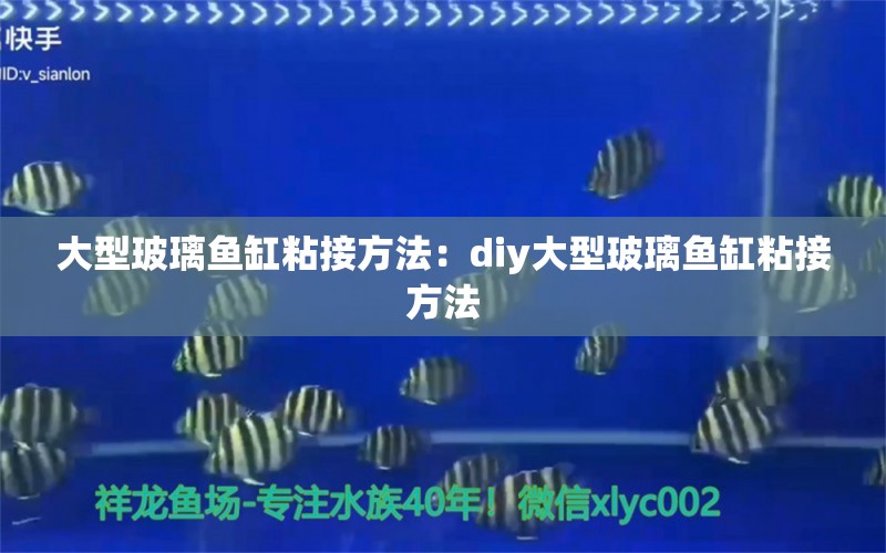 大型玻璃鱼缸粘接方法：diy大型玻璃鱼缸粘接方法 鱼缸百科 第2张