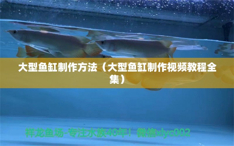 大型鱼缸制作方法（大型鱼缸制作视频教程全集） 其他品牌鱼缸