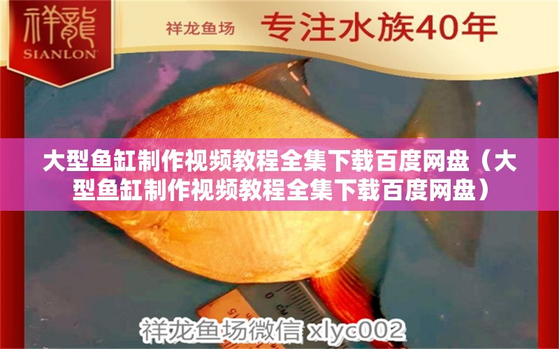 大型鱼缸制作视频教程全集下载百度网盘（大型鱼缸制作视频教程全集下载百度网盘） 其他品牌鱼缸