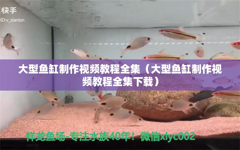 大型鱼缸制作视频教程全集（大型鱼缸制作视频教程全集下载）