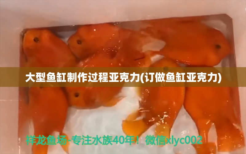 大型鱼缸制作过程亚克力(订做鱼缸亚克力)