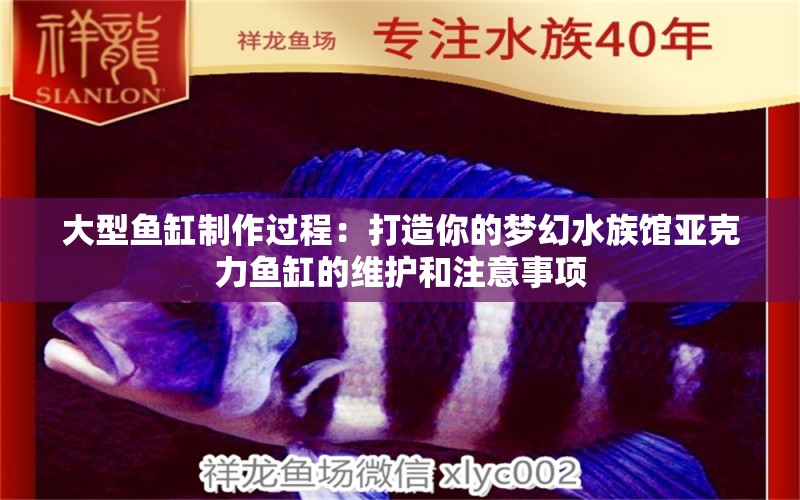 大型鱼缸制作过程：打造你的梦幻水族馆亚克力鱼缸的维护和注意事项 养鱼知识