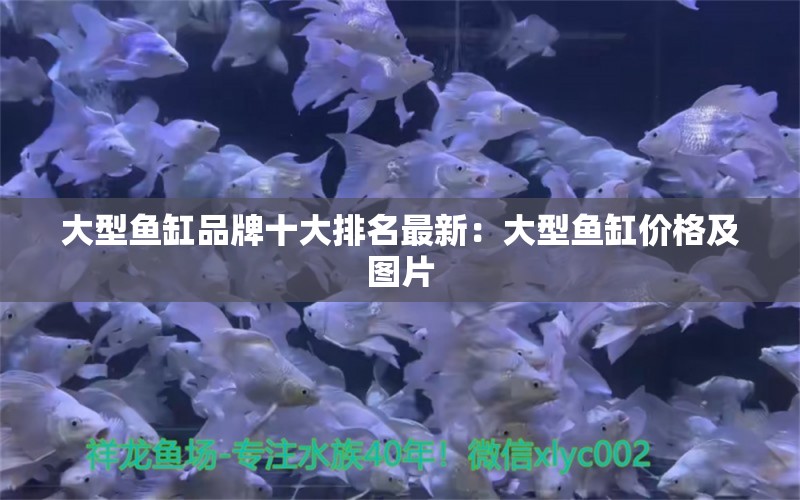 大型鱼缸品牌十大排名最新：大型鱼缸价格及图片