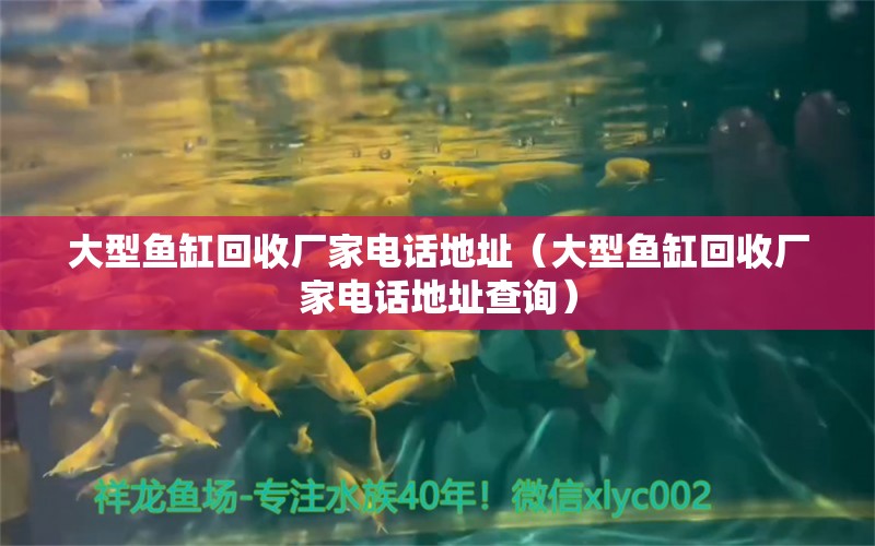 大型鱼缸回收厂家电话地址（大型鱼缸回收厂家电话地址查询）