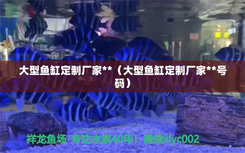 大型鱼缸定制厂家**（大型鱼缸定制厂家**号码） 其他品牌鱼缸