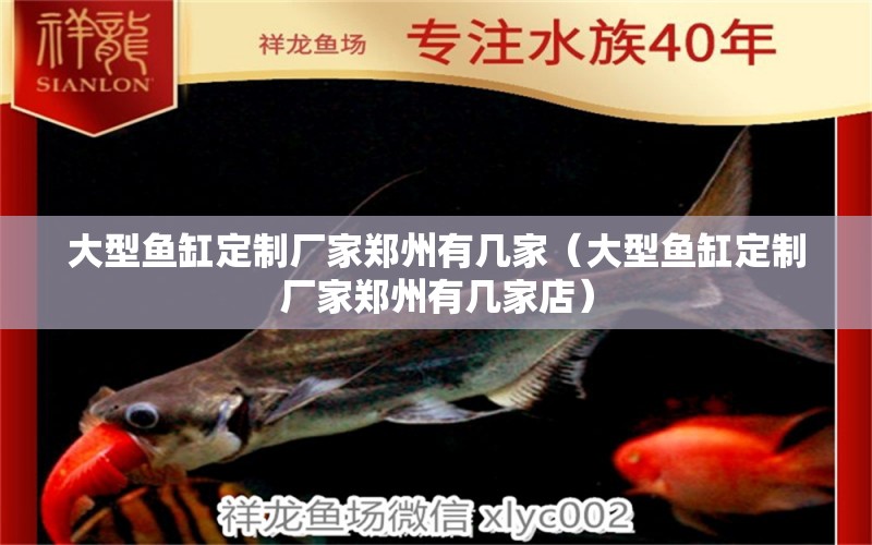 大型鱼缸定制厂家郑州有几家（大型鱼缸定制厂家郑州有几家店） 其他品牌鱼缸
