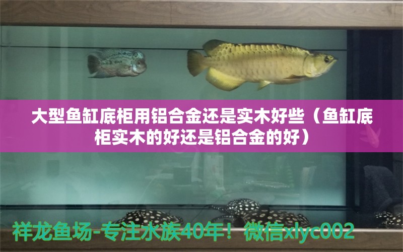 大型鱼缸底柜用铝合金还是实木好些（鱼缸底柜实木的好还是铝合金的好）