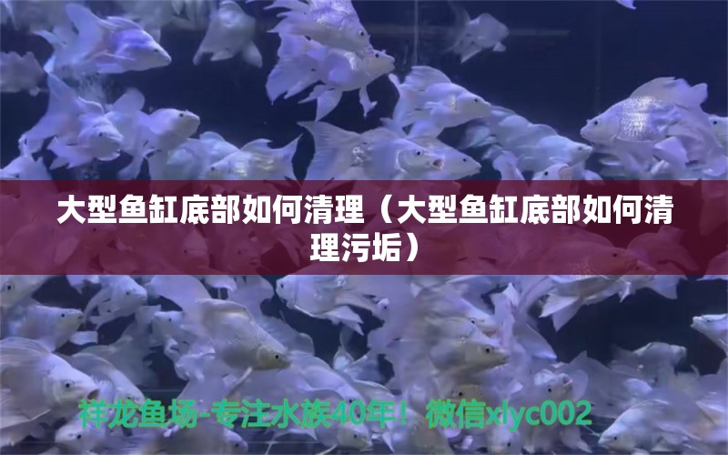 大型鱼缸底部如何清理（大型鱼缸底部如何清理污垢） 其他品牌鱼缸