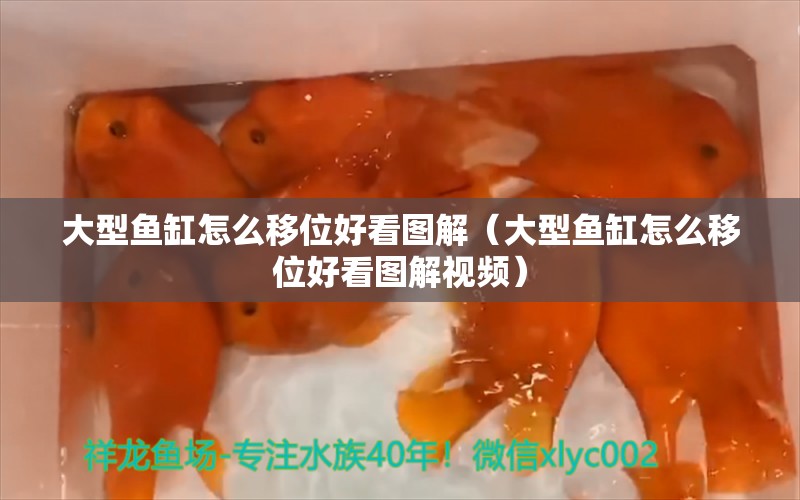 大型鱼缸怎么移位好看图解（大型鱼缸怎么移位好看图解视频） 其他品牌鱼缸