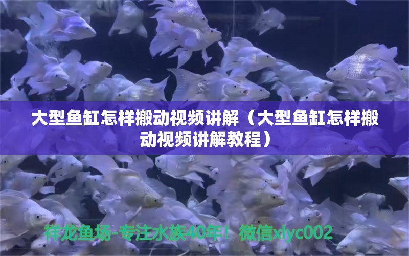 大型鱼缸怎样搬动视频讲解（大型鱼缸怎样搬动视频讲解教程）