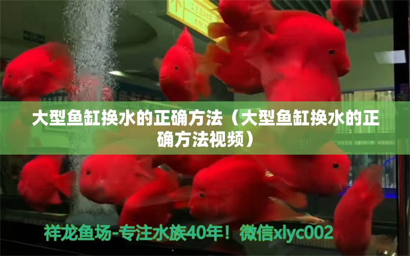 大型鱼缸换水的正确方法（大型鱼缸换水的正确方法视频）