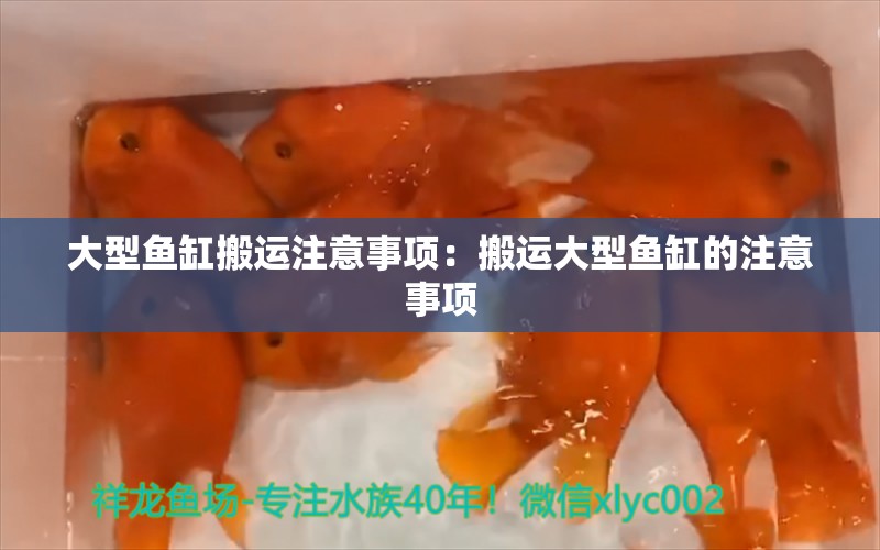 大型鱼缸搬运注意事项：搬运大型鱼缸的注意事项 鱼缸百科 第2张