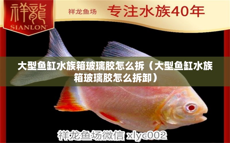 大型鱼缸水族箱玻璃胶怎么拆（大型鱼缸水族箱玻璃胶怎么拆卸）