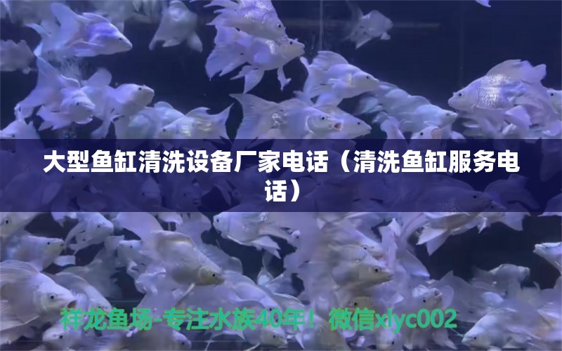 大型鱼缸清洗设备厂家电话（清洗鱼缸服务电话）