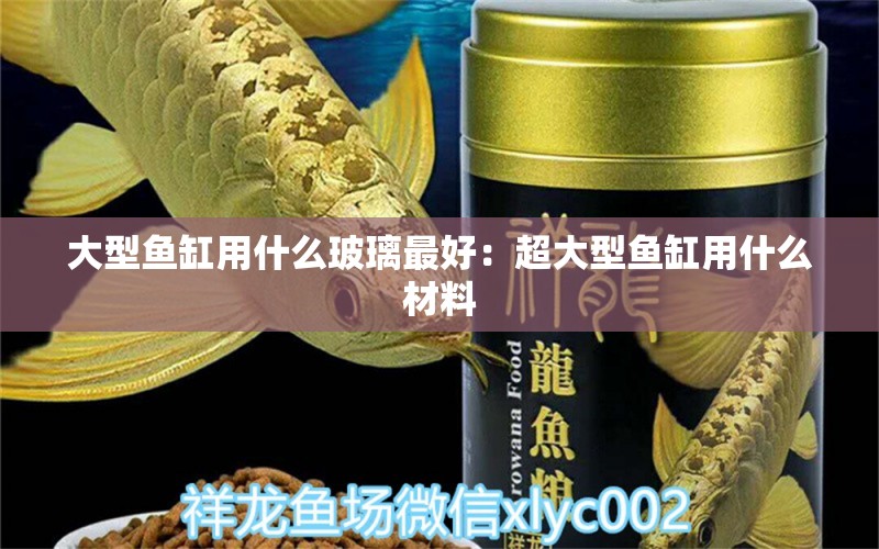 大型鱼缸用什么玻璃最好：超大型鱼缸用什么材料