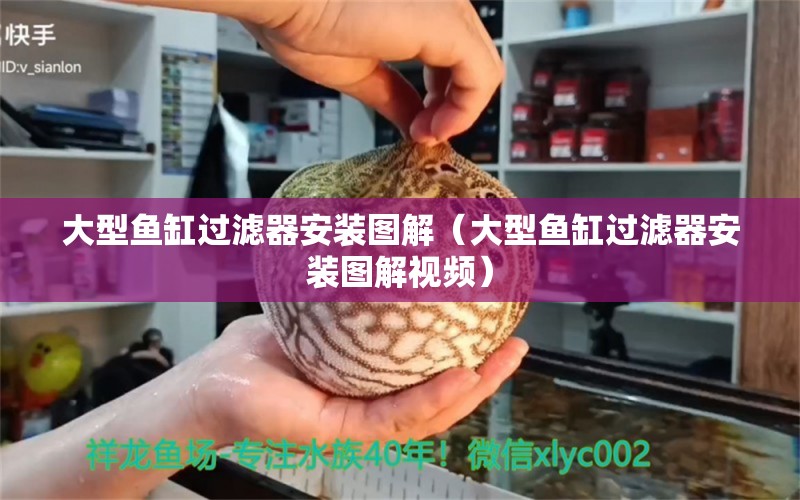 大型鱼缸过滤器安装图解（大型鱼缸过滤器安装图解视频） 其他品牌鱼缸