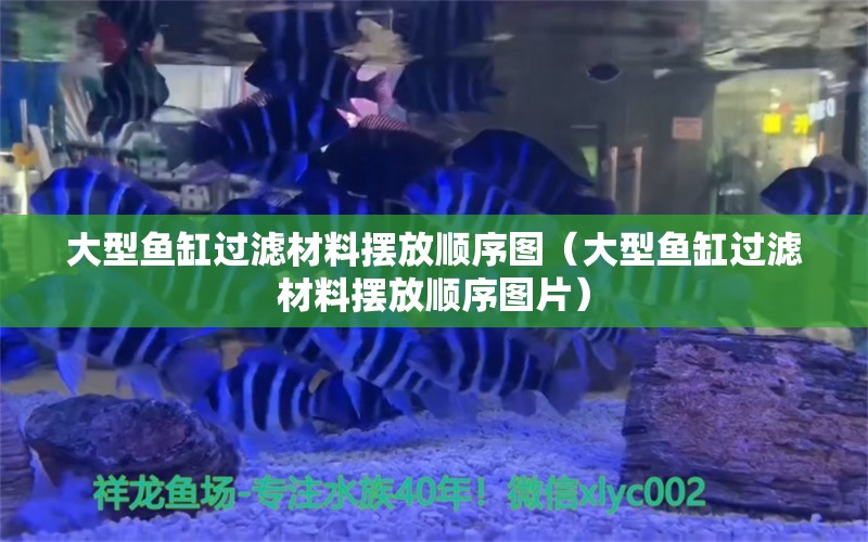 大型鱼缸过滤材料摆放顺序图（大型鱼缸过滤材料摆放顺序图片） 其他品牌鱼缸